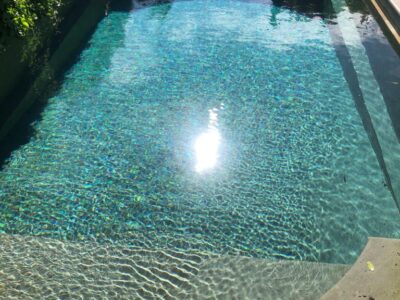 270e25d8-d9c5-4039-8437-908de89c170c