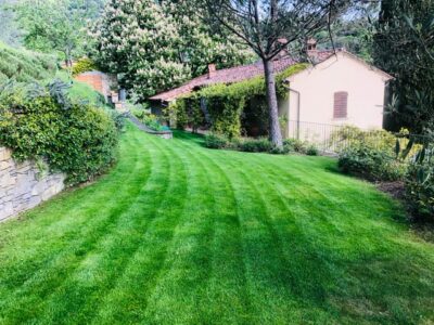 83a116eb-b9b8-4b2d-8b48-fd31083467ec