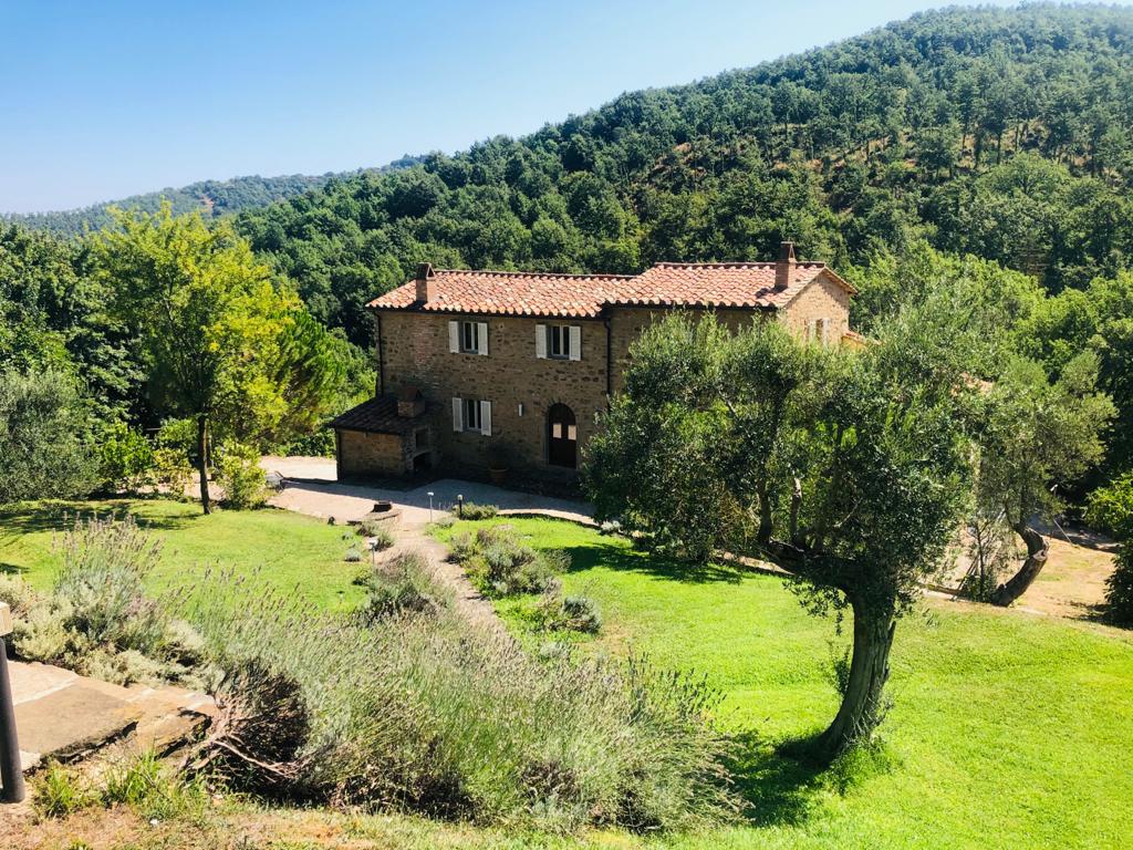 9ef2575f-c32a-468a-a079-41a2ae871830