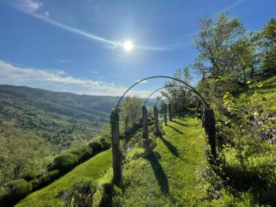 e0f5f908-ffec-4841-a682-670d06c0709d