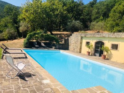 e256f9a2-ee33-4df6-9ce9-b0d5215cec02