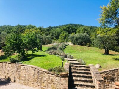 fab2ca34-dfc2-483d-91fa-63a504d58df4