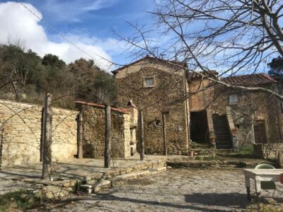 WhatsApp Image 2024-10-22 at 16.38.19