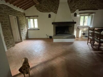 WhatsApp Image 2024-10-22 at 16.39.57 (1)