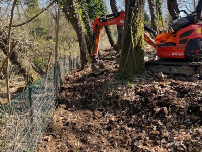 WhatsApp Image 2024-10-22 at 16.59.27