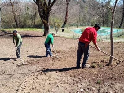 WhatsApp Image 2024-10-22 at 16.59.28