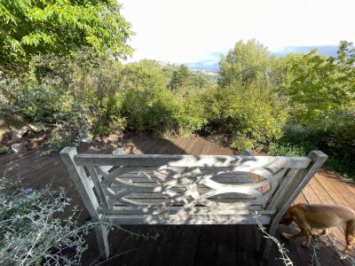 WhatsApp Image 2024-10-22 at 16.59.49