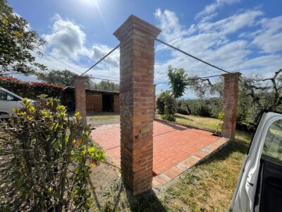 WhatsApp Image 2024-10-24 at 11.56.56