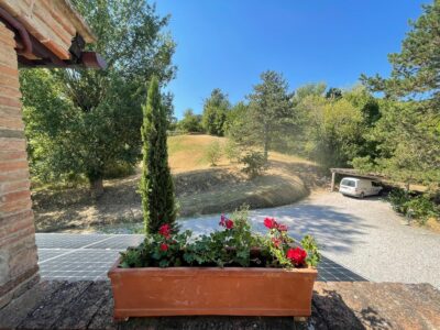 gardening-oliverde-04