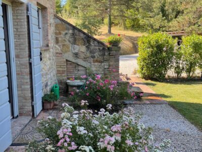 gardening-oliverde-07