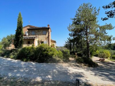 gardening-oliverde-09