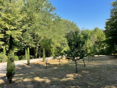 gardening-oliverde-12