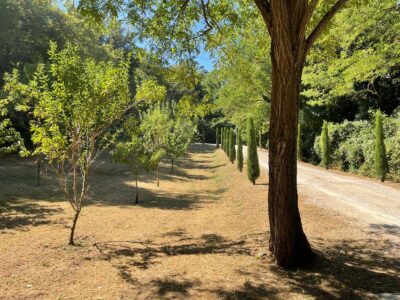 gardening-oliverde-13